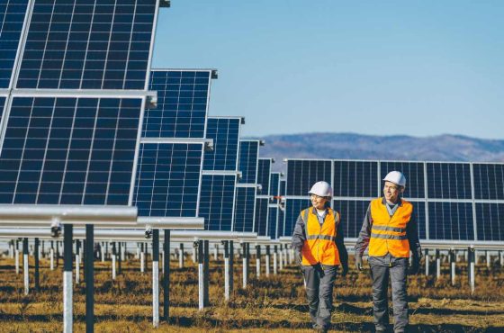 Which Solar Panels Are Best for Commercial Sites?