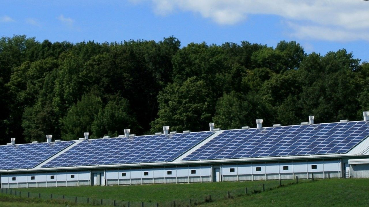 on grid and off grid solar difference 1