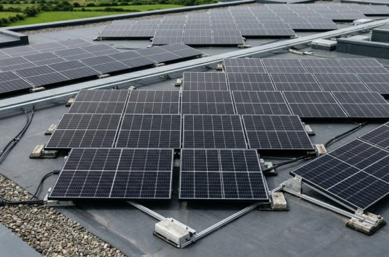 5 Signs Your Home or Business Is Ready for Solar Panels in Ireland